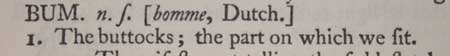 Bum, the buttocks; the part on which we sit