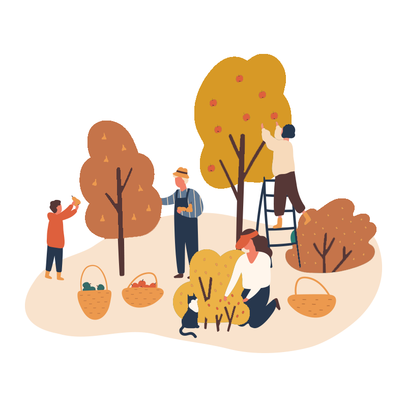 view more about the vocabulary list