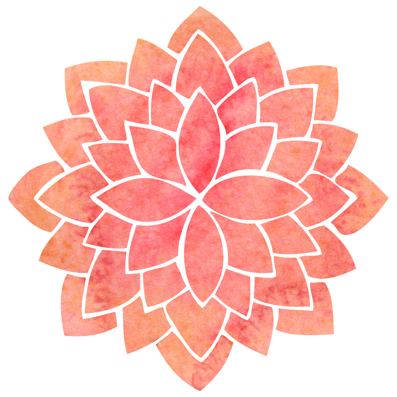 view more about the vocabulary list