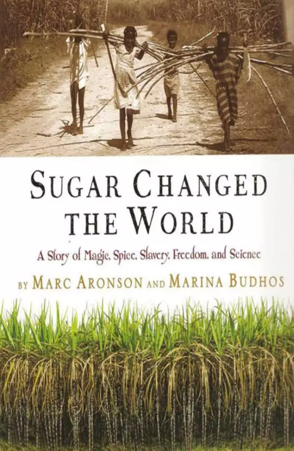 view more about the vocabulary list