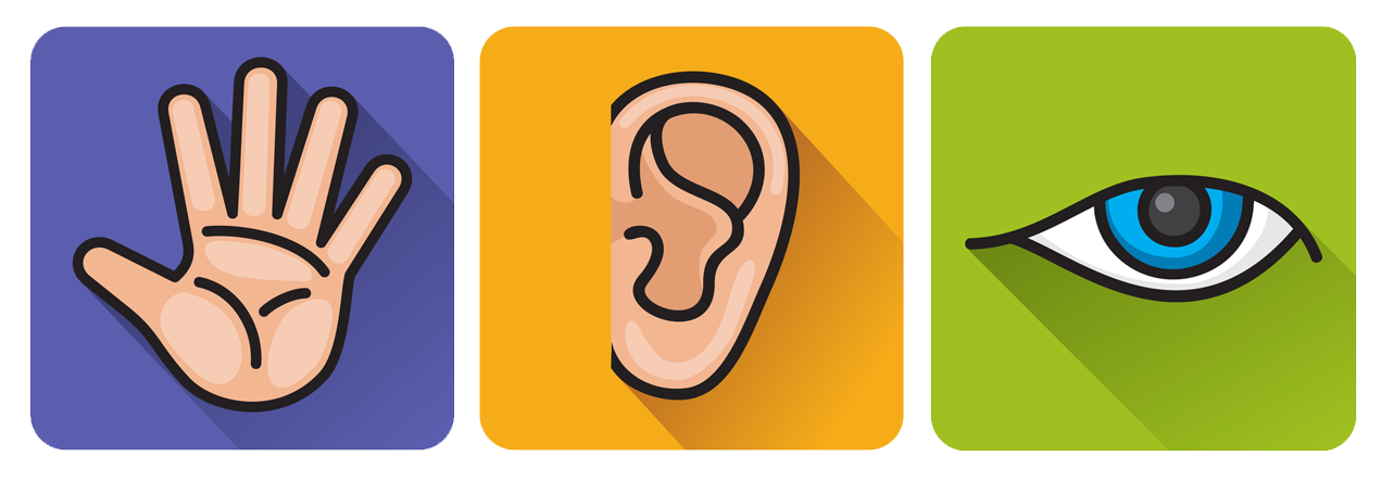 Sentient - Definition, Meaning & Synonyms | Vocabulary.com