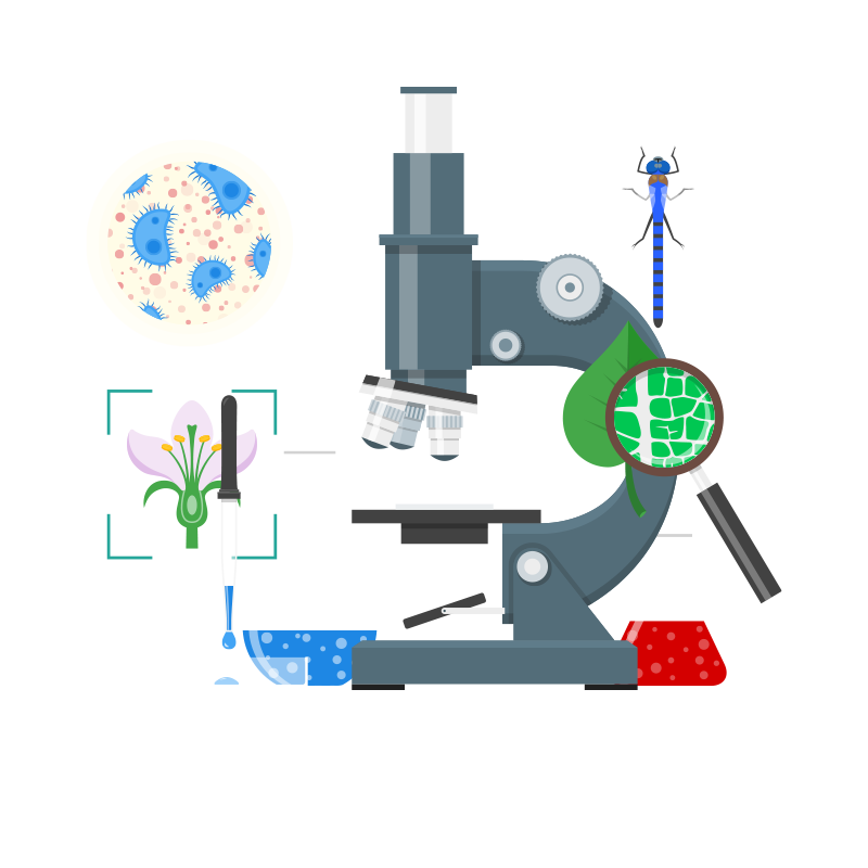 Essential Science Vocabulary | Vocabulary.com