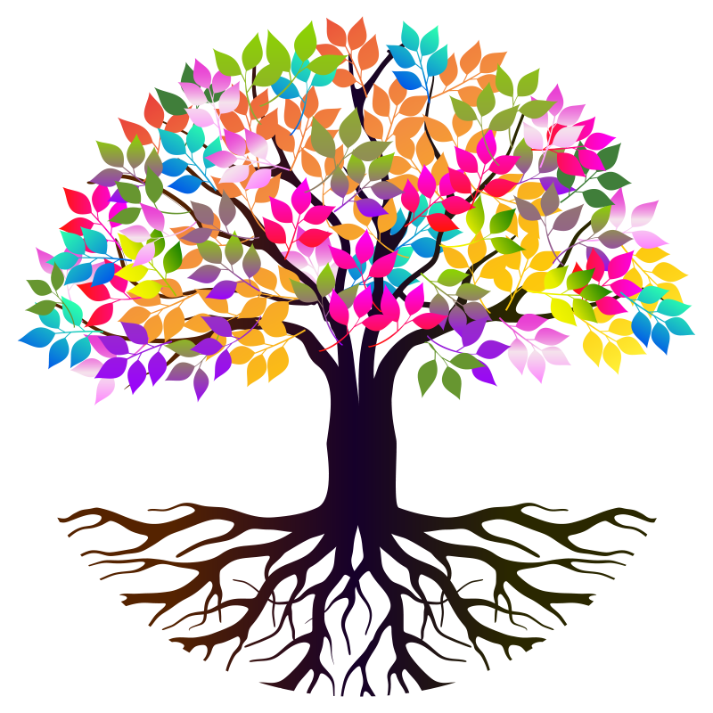 view more about the vocabulary list