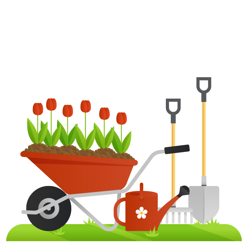 view more about the vocabulary list