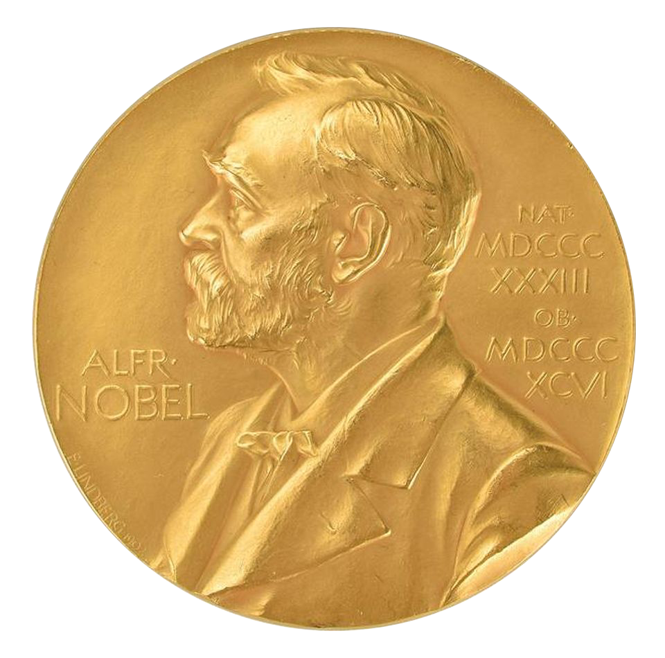 view more about the vocabulary list