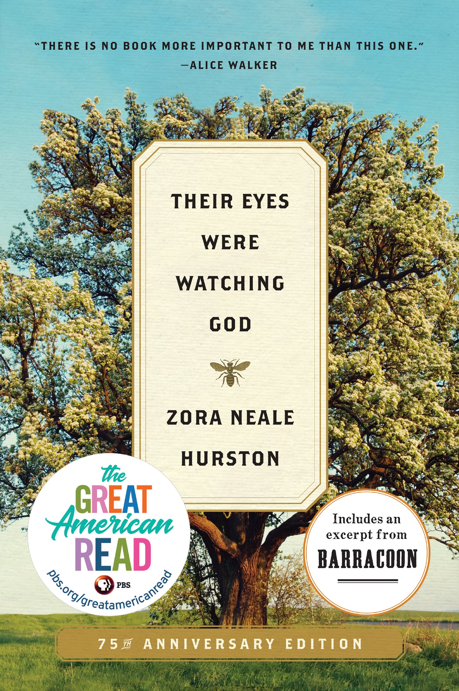 view more about the vocabulary list