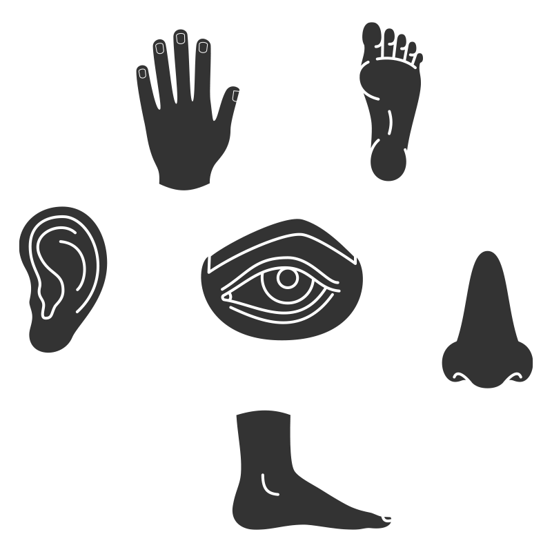 view more about the vocabulary list