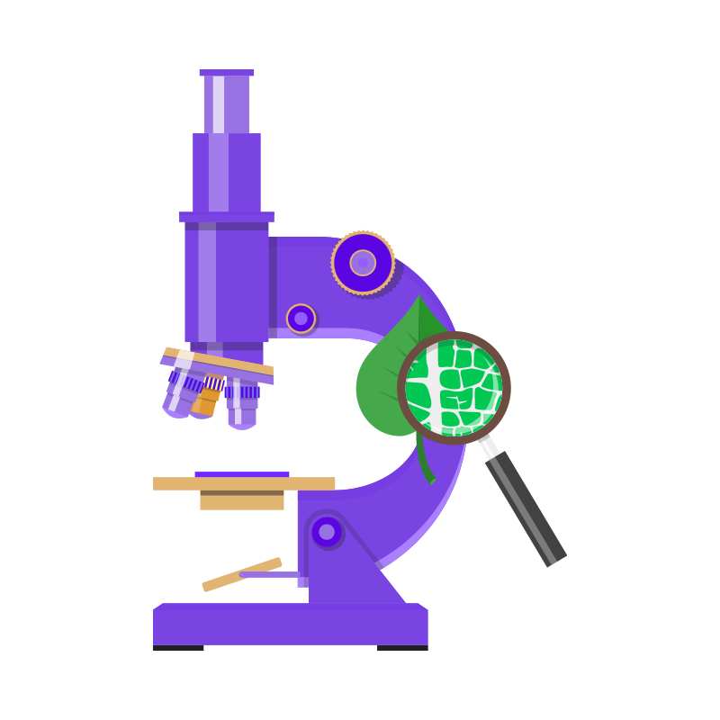 view more about the vocabulary list